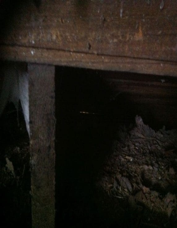 Ocieplanie starego kurnika celulozą FHU Eko Term wdmuchiwanie izolacji 3