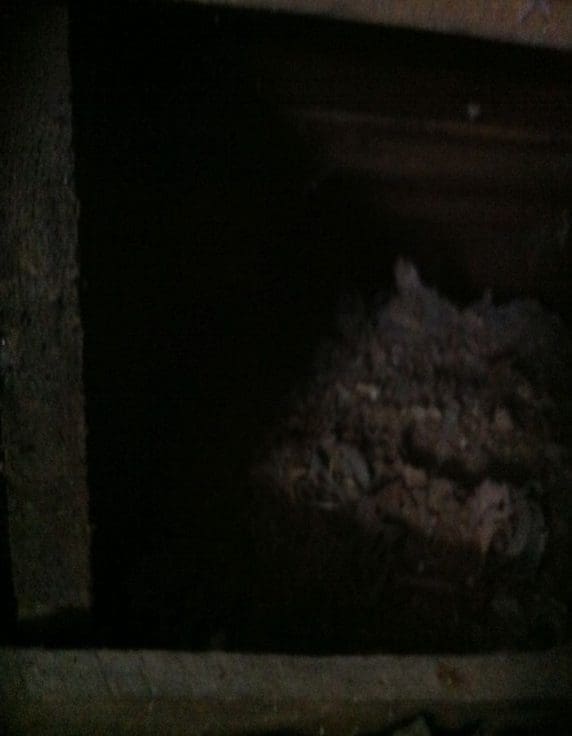 Ocieplanie starego kurnika celulozą FHU Eko Term wdmuchiwanie izolacji 2