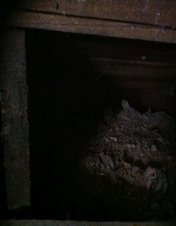 Ocieplanie starego kurnika celulozą FHU Eko Term wdmuchiwanie izolacji