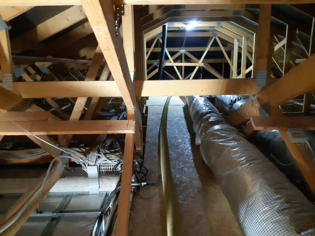 wdmuchiwanie celulozy listopad pszczonów polska (2)