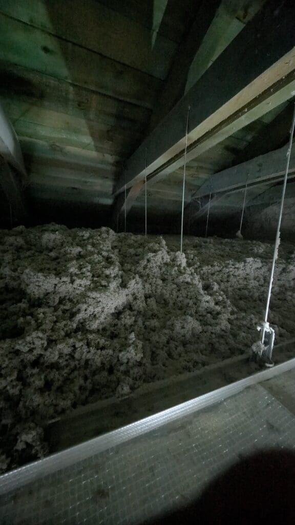 Brodnica - ocieplenie poddasza i dachu celulozą wdmuchiwanie